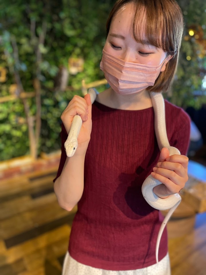 柊 すずね